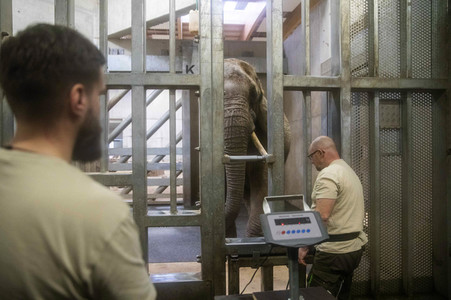 Inventur im Thüringer Zoopark Erfurt