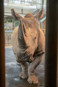 Inventur im Thüringer Zoopark Erfurt