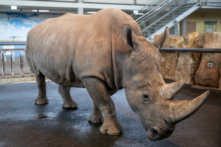 Inventur im Thüringer Zoopark Erfurt