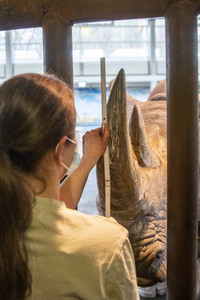 Inventur im Thüringer Zoopark Erfurt