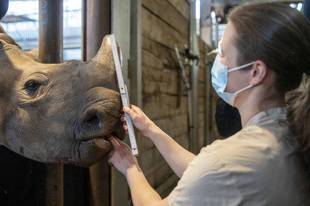 Inventur im Thüringer Zoopark Erfurt