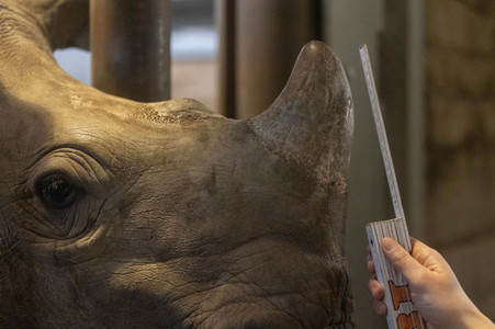Inventur im Thüringer Zoopark Erfurt