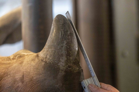 Inventur im Thüringer Zoopark Erfurt