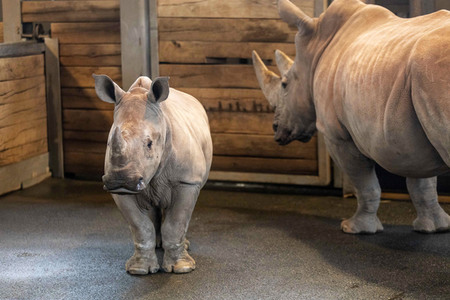 Inventur im Thüringer Zoopark Erfurt