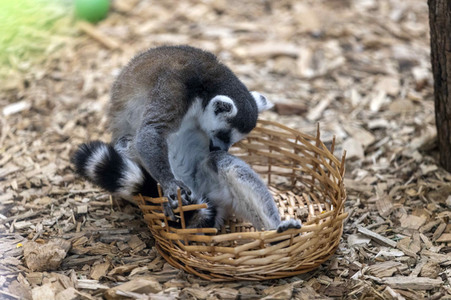 Inventur im Thüringer Zoopark Erfurt