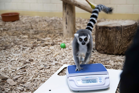 Inventur im Thüringer Zoopark Erfurt