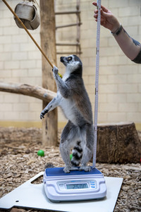 Inventur im Thüringer Zoopark Erfurt