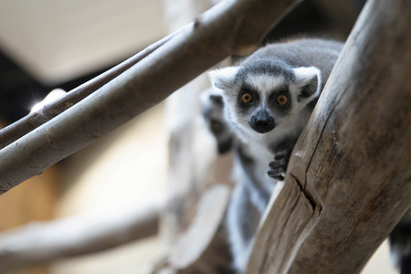 Inventur im Thüringer Zoopark Erfurt