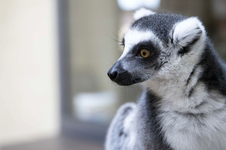 Inventur im Thüringer Zoopark Erfurt