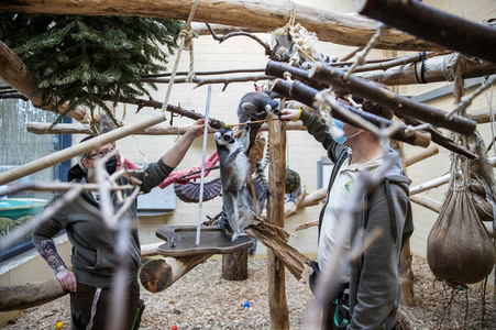 Inventur im Thüringer Zoopark Erfurt
