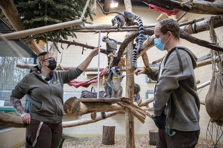 Inventur im Thüringer Zoopark Erfurt