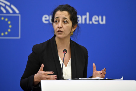 Pressekonferenz der Grünen im Europäischen Parlament in Straßburg