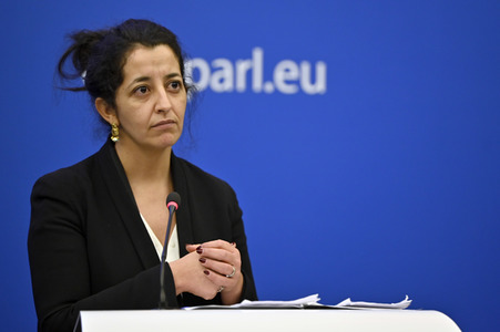 Pressekonferenz der Grünen im Europäischen Parlament in Straßburg