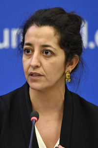 Pressekonferenz der Grünen im Europäischen Parlament in Straßburg