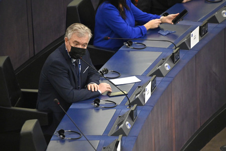 Plenartagung über den Digital Services Act im EU-Parlament in Straßburg