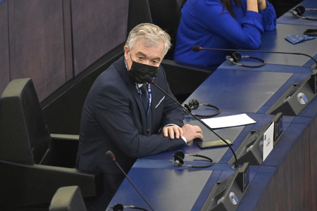 Plenartagung über den Digital Services Act im EU-Parlament in Straßburg