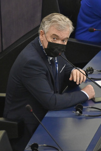 Plenartagung über den Digital Services Act im EU-Parlament in Straßburg