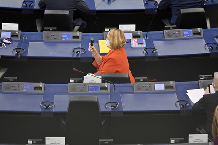 Plenartagung über den Digital Services Act im EU-Parlament in Straßburg