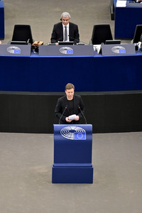 Plenartagung über den Digital Services Act im EU-Parlament in Straßburg