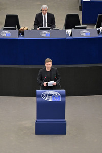 Plenartagung über den Digital Services Act im EU-Parlament in Straßburg