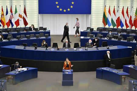 Plenartagung über den Digital Services Act im EU-Parlament in Straßburg