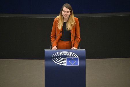 Plenartagung über den Digital Services Act im EU-Parlament in Straßburg