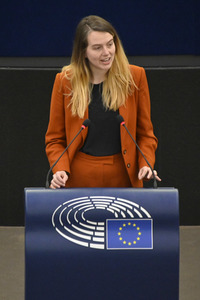 Plenartagung über den Digital Services Act im EU-Parlament in Straßburg