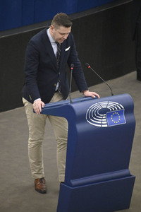 Plenartagung über den Digital Services Act im EU-Parlament in Straßburg