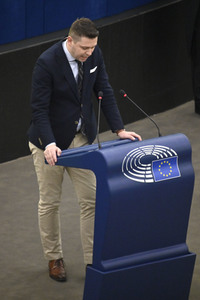 Plenartagung über den Digital Services Act im EU-Parlament in Straßburg
