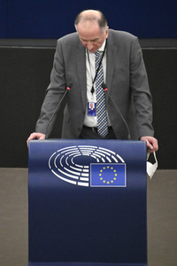 Plenartagung über den Digital Services Act im EU-Parlament in Straßburg