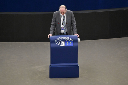 Plenartagung über den Digital Services Act im EU-Parlament in Straßburg