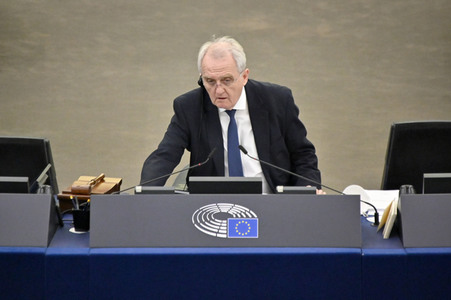 Plenartagung über den Digital Services Act im EU-Parlament in Straßburg
