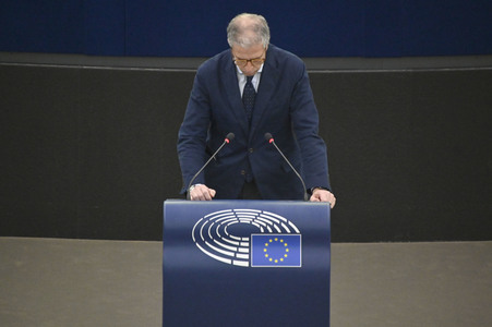 Plenartagung über den Digital Services Act im EU-Parlament in Straßburg