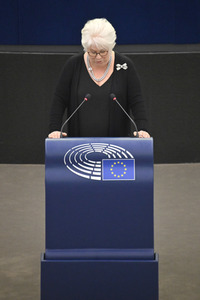 Plenartagung über den Digital Services Act im EU-Parlament in Straßburg