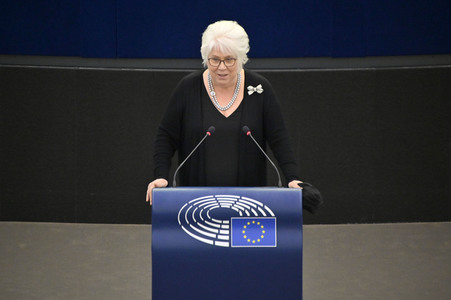 Plenartagung über den Digital Services Act im EU-Parlament in Straßburg