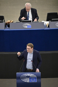 Plenartagung über den Digital Services Act im EU-Parlament in Straßburg