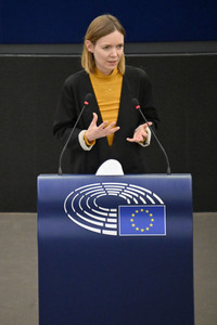 Plenartagung über den Digital Services Act im EU-Parlament in Straßburg