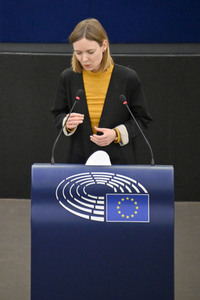 Plenartagung über den Digital Services Act im EU-Parlament in Straßburg