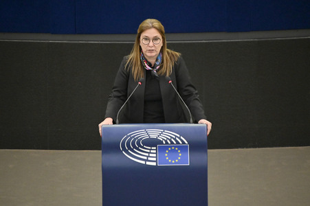 Plenartagung über den Digital Services Act im EU-Parlament in Straßburg