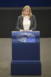 Plenartagung über den Digital Services Act im EU-Parlament in Straßburg