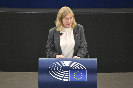Plenartagung über den Digital Services Act im EU-Parlament in Straßburg