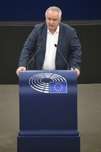 Plenartagung über den Digital Services Act im EU-Parlament in Straßburg