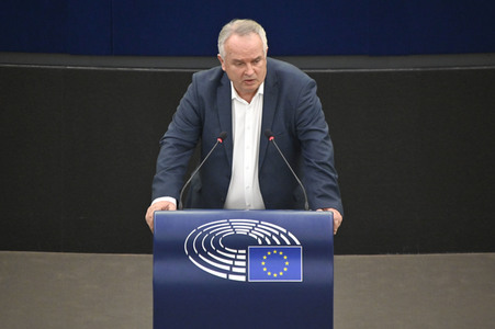 Plenartagung über den Digital Services Act im EU-Parlament in Straßburg