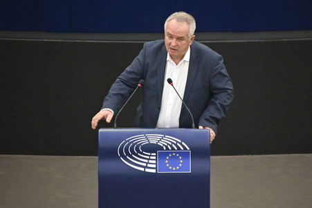 Plenartagung über den Digital Services Act im EU-Parlament in Straßburg