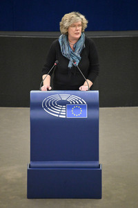 Plenartagung über den Digital Services Act im EU-Parlament in Straßburg
