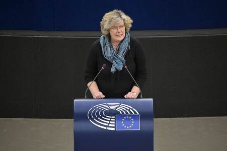 Plenartagung über den Digital Services Act im EU-Parlament in Straßburg