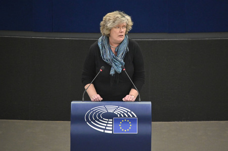 Plenartagung über den Digital Services Act im EU-Parlament in Straßburg