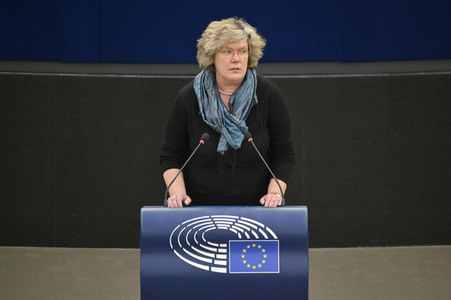 Plenartagung über den Digital Services Act im EU-Parlament in Straßburg