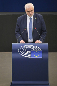 Plenartagung über den Digital Services Act im EU-Parlament in Straßburg