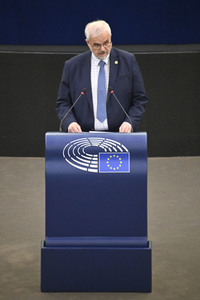 Plenartagung über den Digital Services Act im EU-Parlament in Straßburg